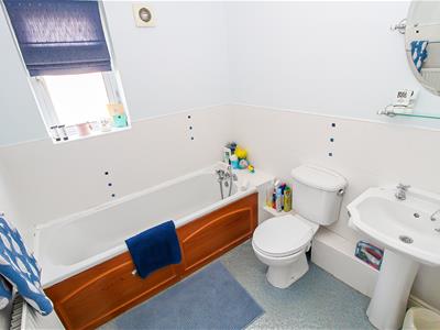 Picture 15